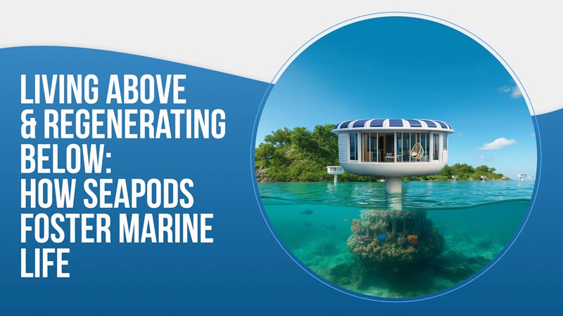 Living Above & Regenerating Below: How SeaPods Foster Marine Life