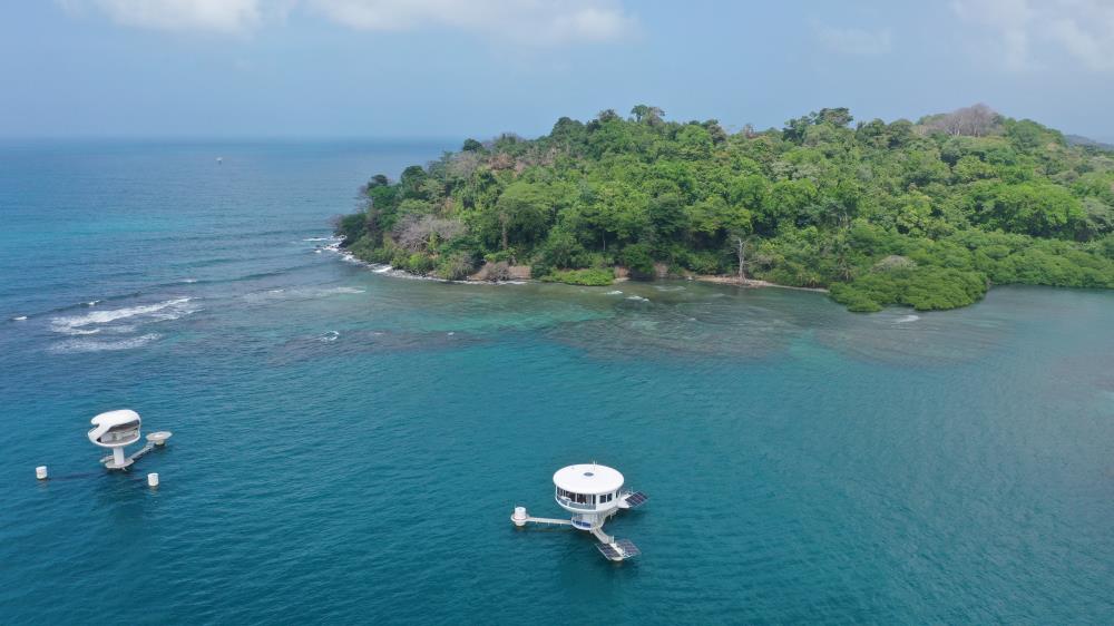 Regenerative design: homes that enhance marine ecosystems
