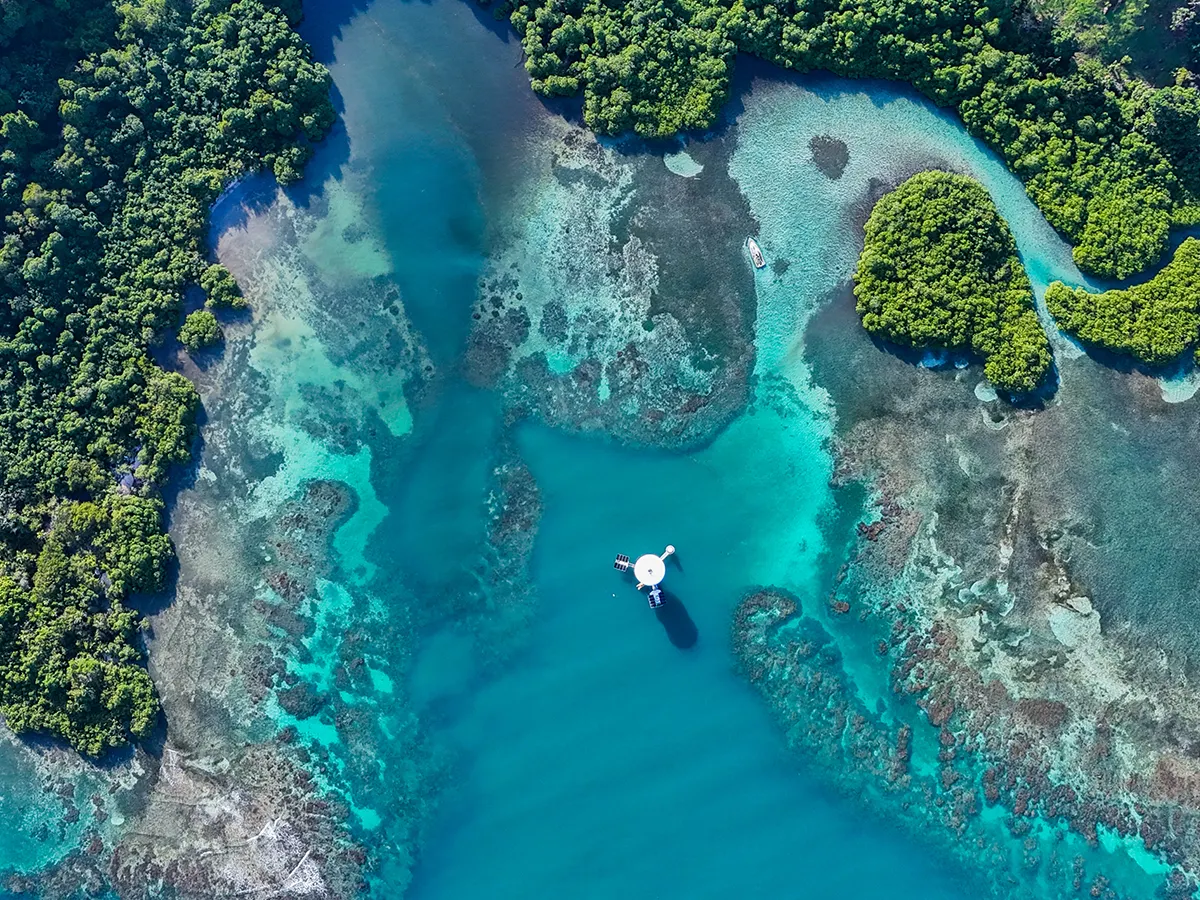 Ocean-integrated living: where environment replaces intervention